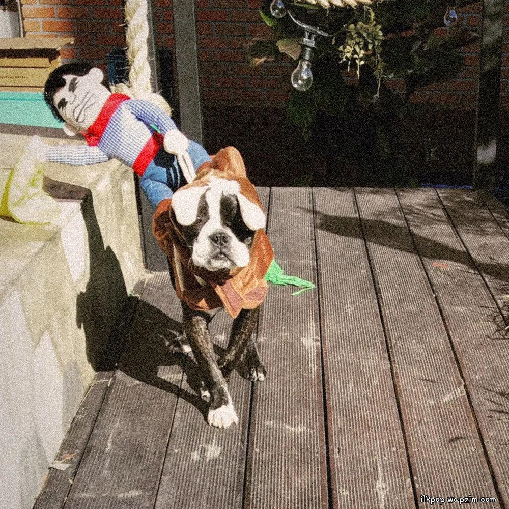 paulkyte - 잘 지내고 있어 (been doing fine)