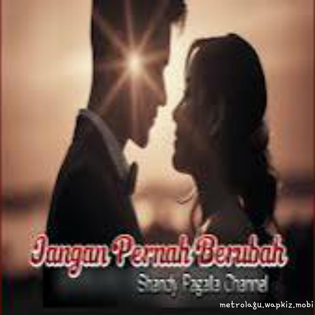 Shandy Pagalla Channel - Jangan Pernah Berubah