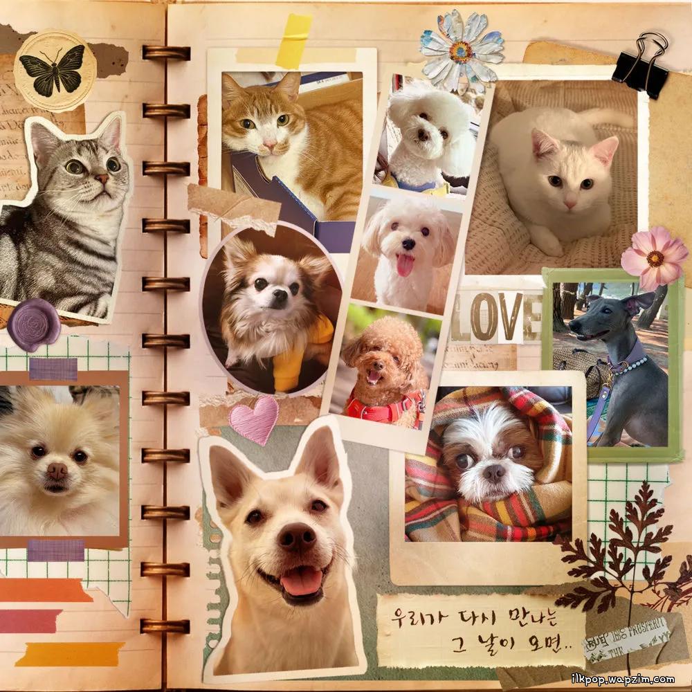 KimYeoeun - 우리가 다시 만나는 그날이 오면 (The Day We Meet Again) (Feat. Park Hyun Seo)