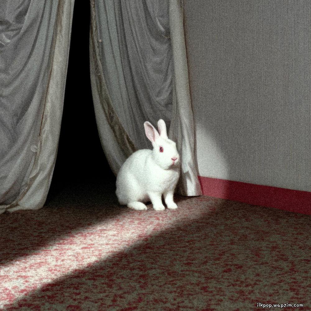 CHUNGYOON & YELO - Ordinary girl