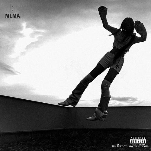 MLMA - Carry Me (feat. Lil cherry).mp3