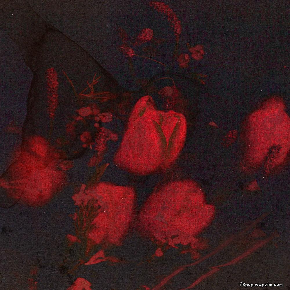 Kim Feel - Dry Flower.mp3