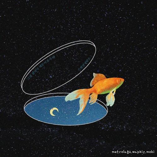 Sweden Laundry - because of summer night