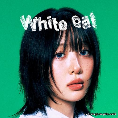 White cat by Yves White cat by Yves