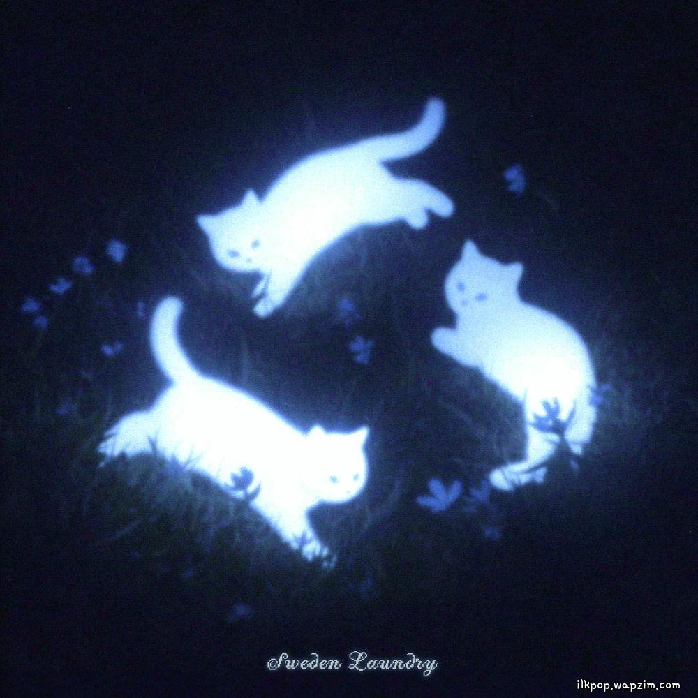 Sweden Laundry - 영영 (forevermore)