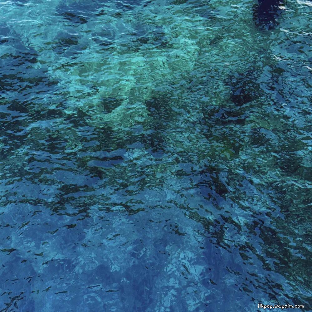 obviouxx - 억지로 가면 (bad mask)