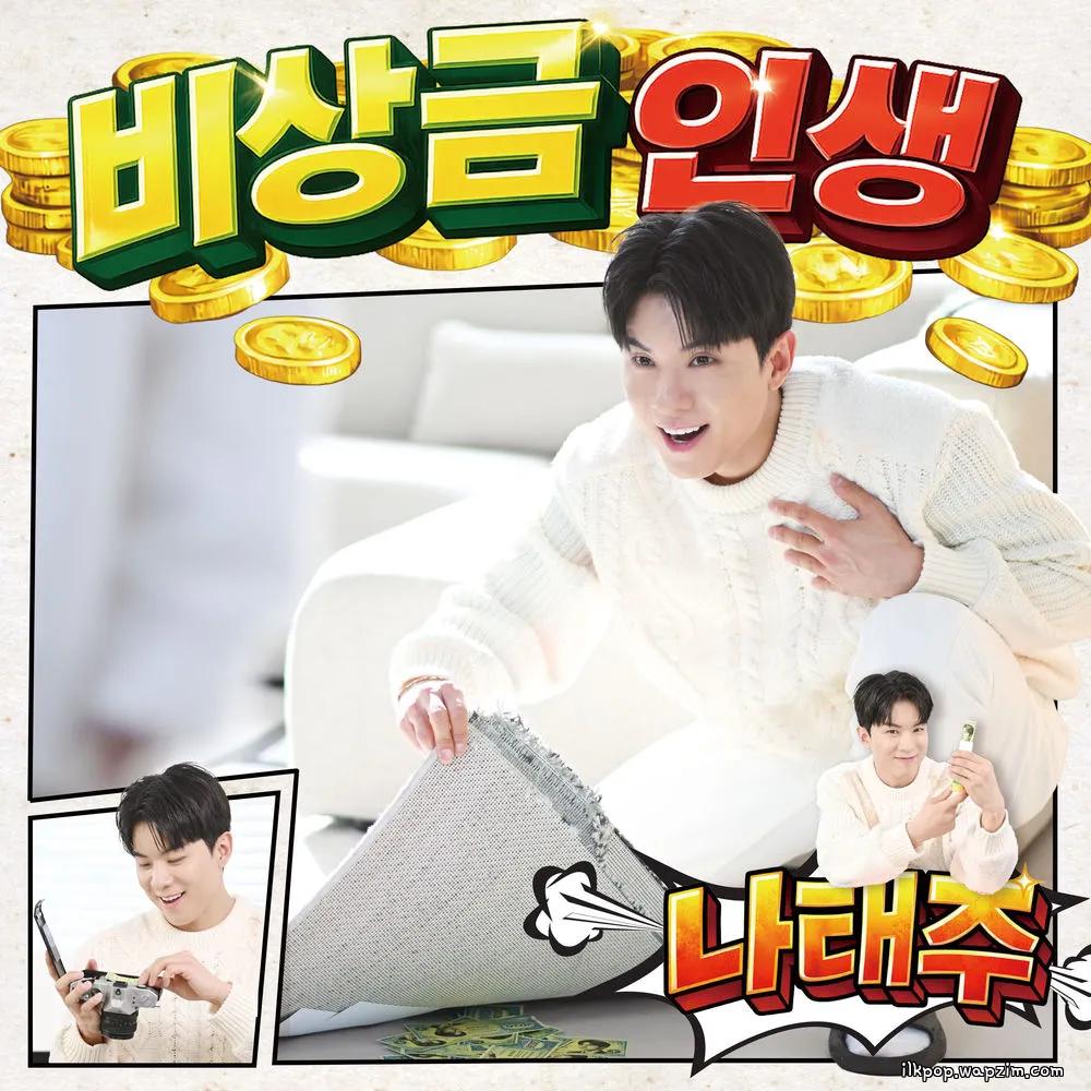 NA TAE JOO - 비상금 인생