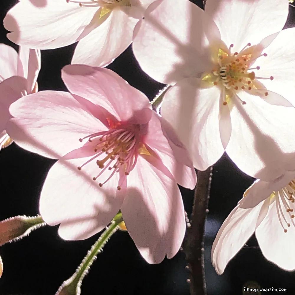 oftn - I Will (feat. Sonny Zero)