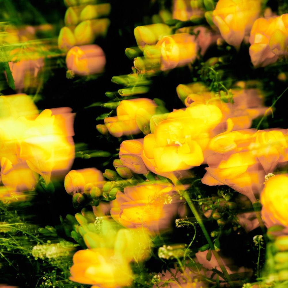 DONGHAE - Good Day (Feat. Jay Park, 1iL)