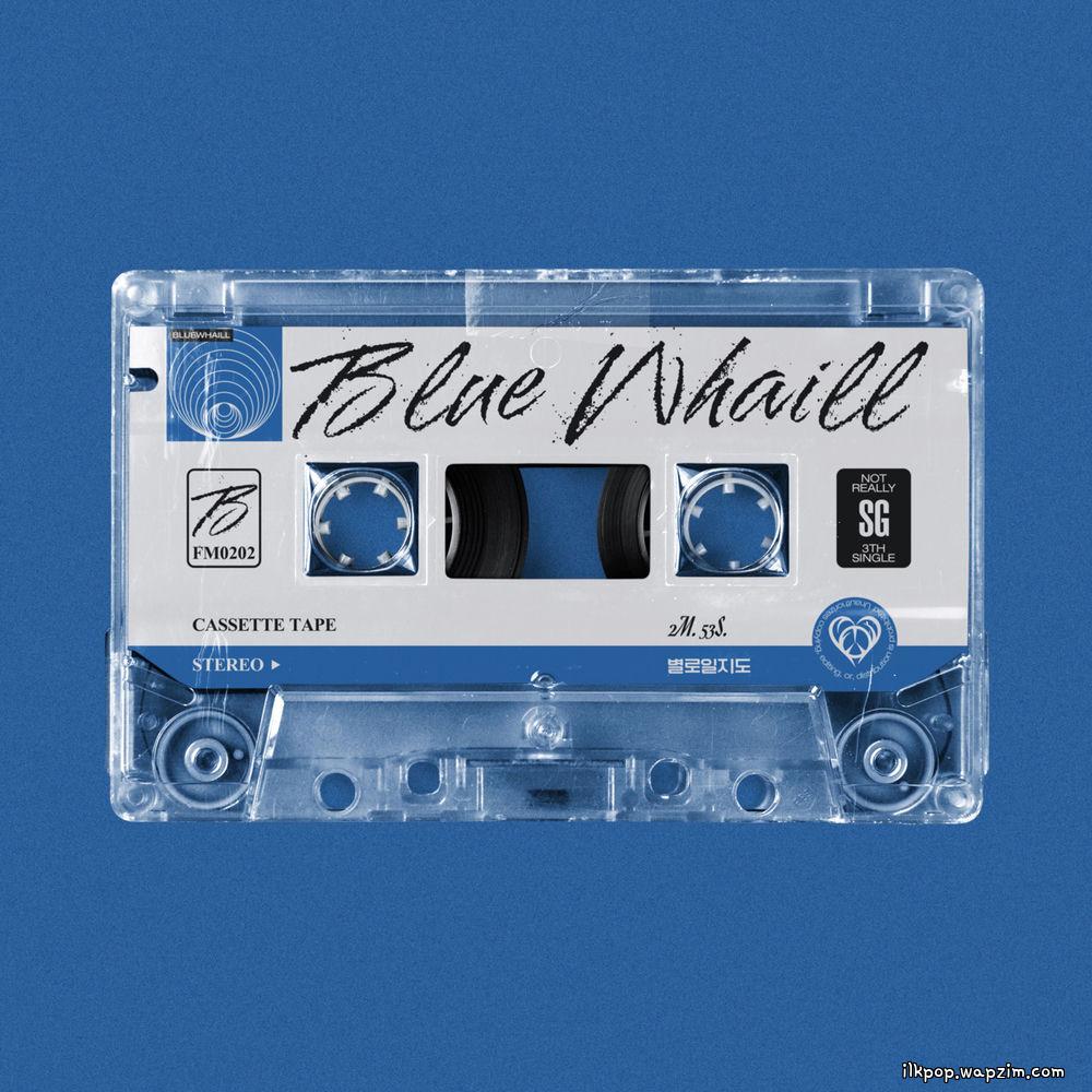 BLUE WHAILL - 별로일지도 (Maybe Nothing)