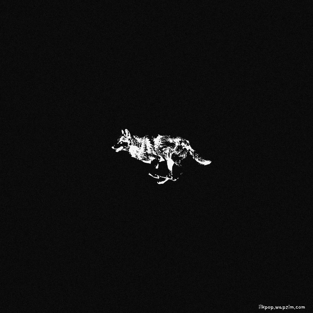 untell & YLN Foreign & KAMBO - CASH IN