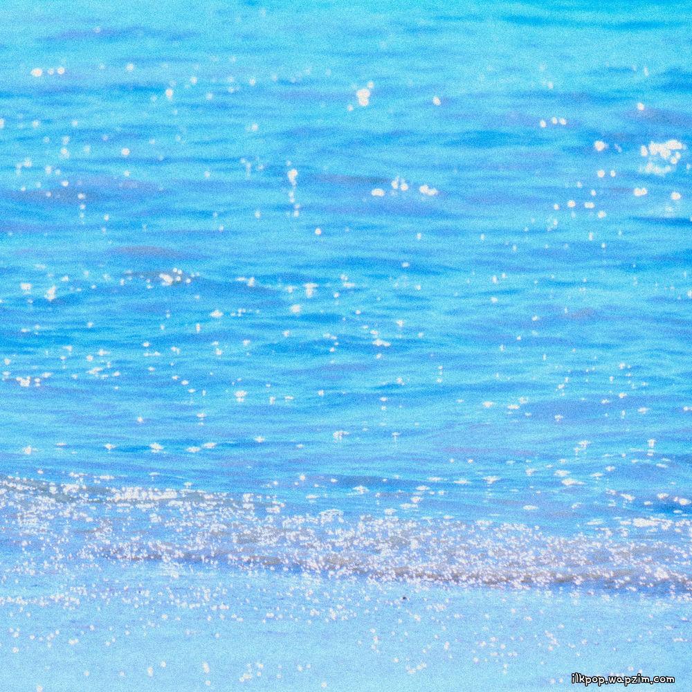 yourbeagle & Norwegian Wood - On My Own