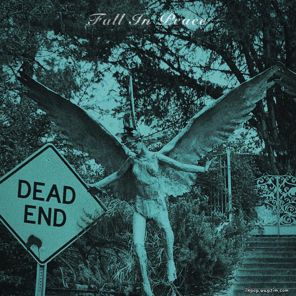 Super Joy Club - Fall In Peace