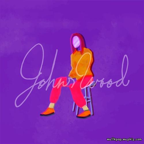 JOHNSWOOD - Plastic Paradise.mp3
