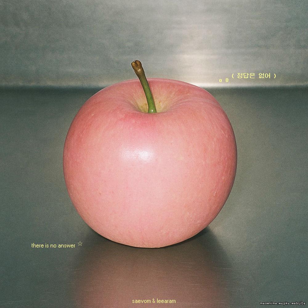 Saevom - 정답은 없어 (There is no answer (with Lee Aram)