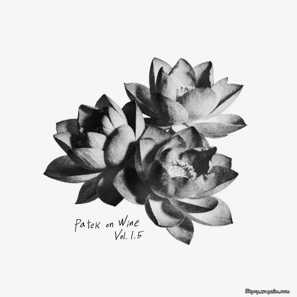 PATEKO & kid wine - 흩날린다 (Drifting)