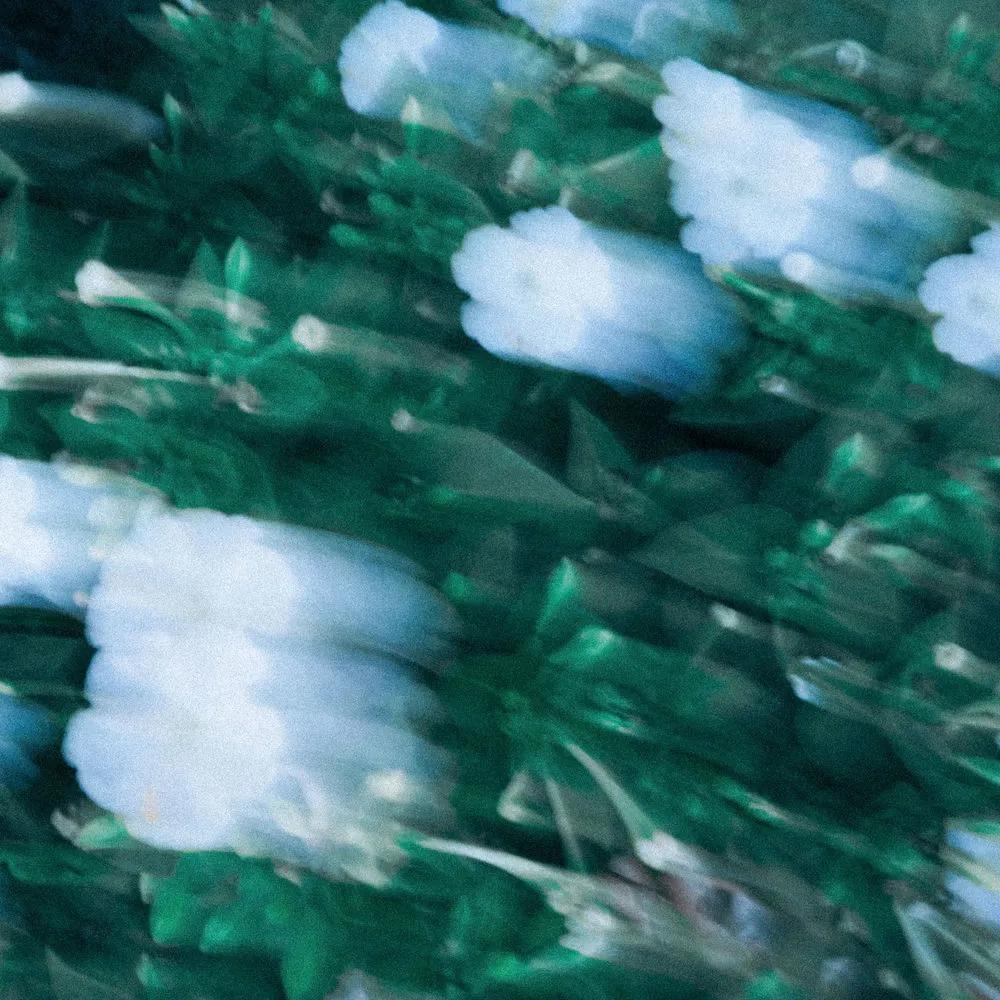 YOUTH - Bloom With You