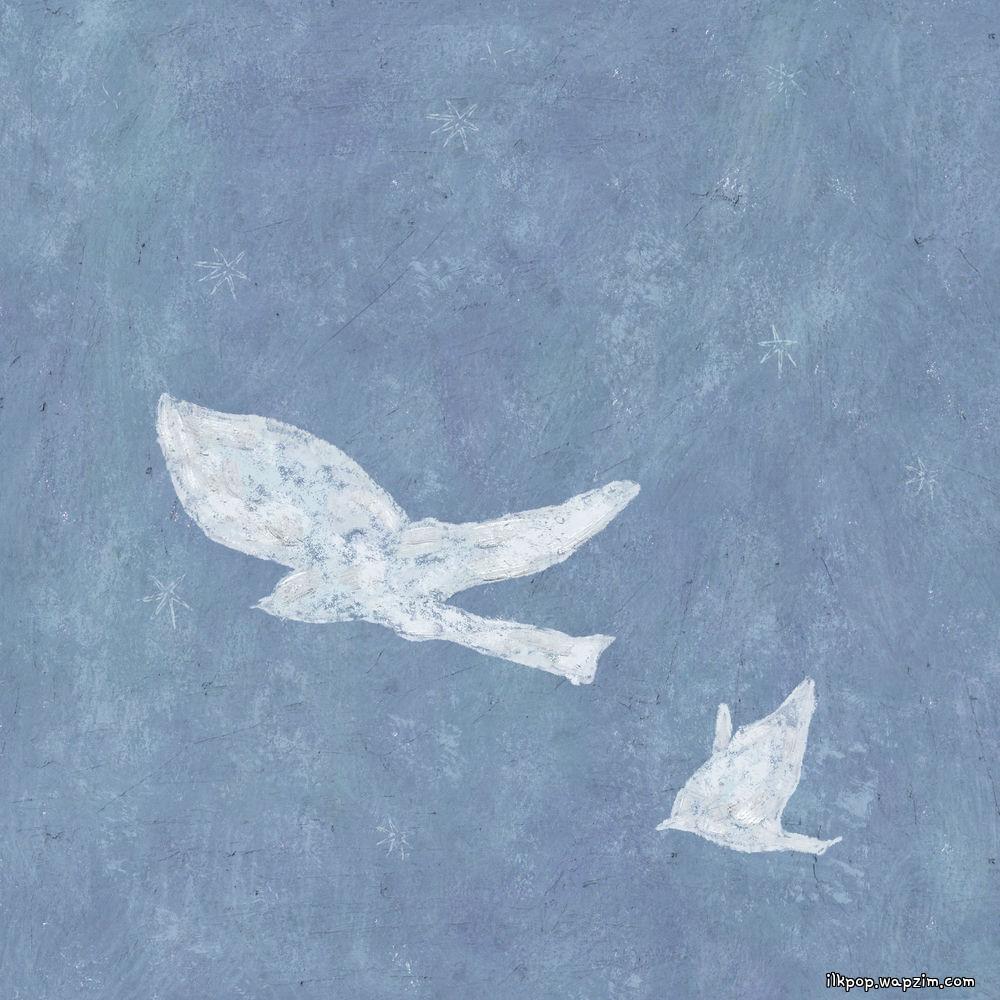 Bily Acoustie - 늦은 새벽 (Late Dawn)