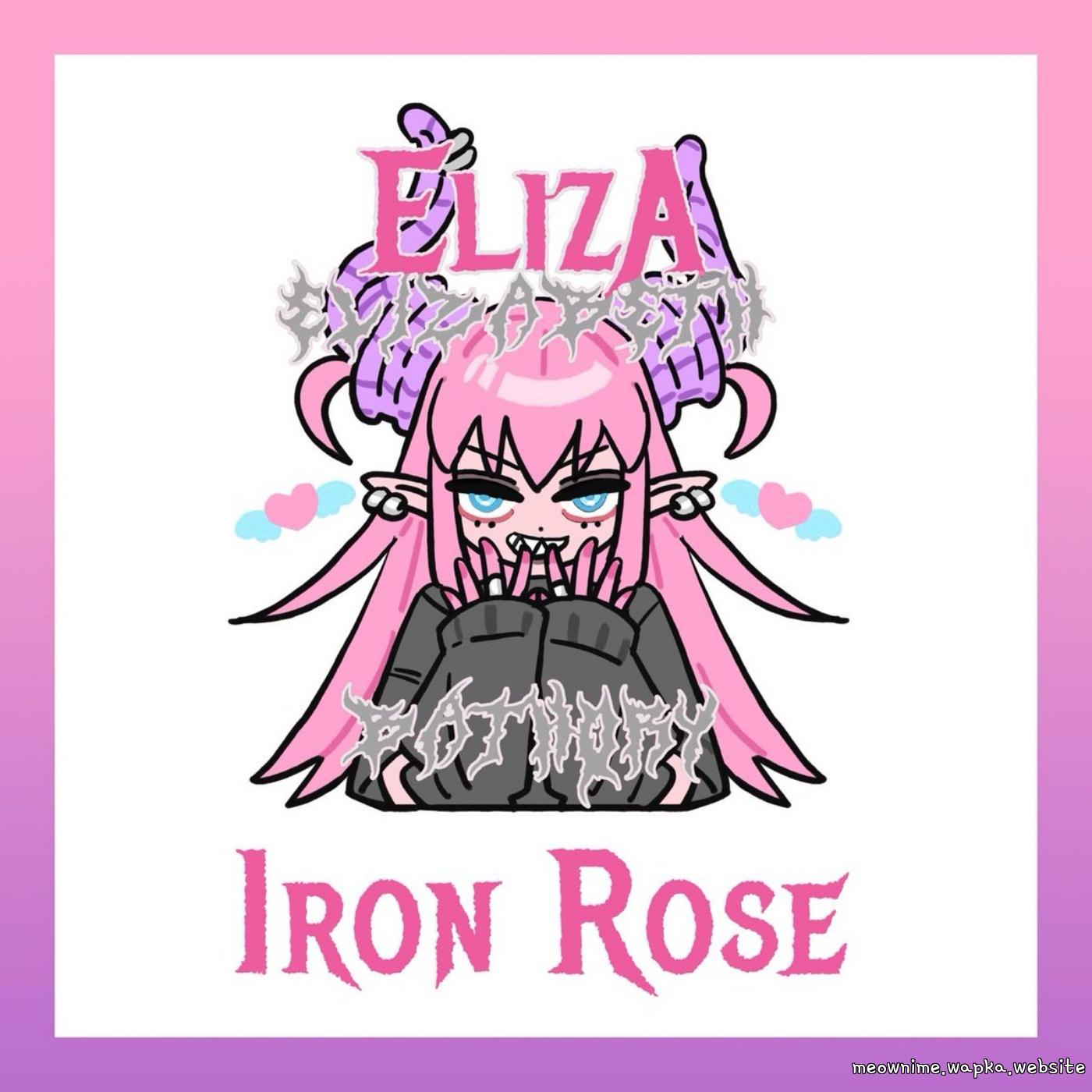 Elizabeth Báthory (CV: Rumi Ookubo) - Iron Rose [Theme Song Fate/Grand Order]