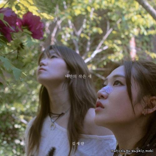 Seyan Kim - My Little Bird (feat. Cho Seungyeon).mp3