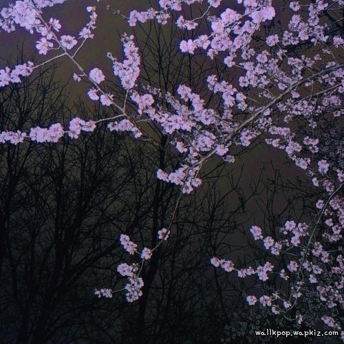 itssiu - Say you will….mp3