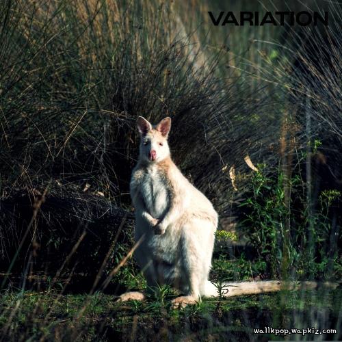 dubdubee - Crystal Clear.mp3