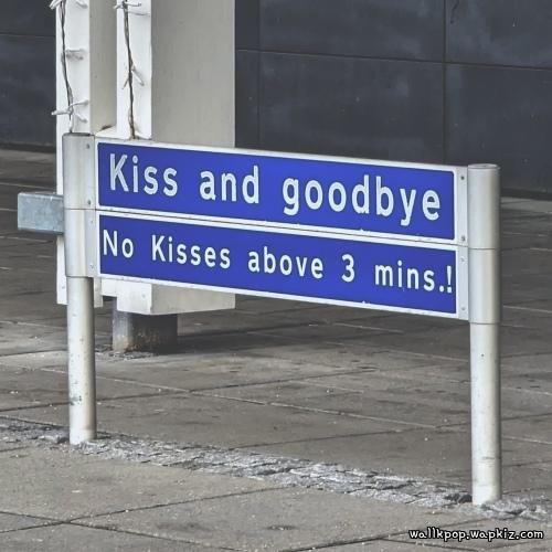 haan. - Goodbye My Dear Lover.mp3