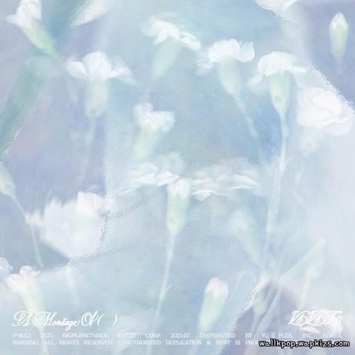 VIVIZ - Hipnotic (SINB Solo).mp3