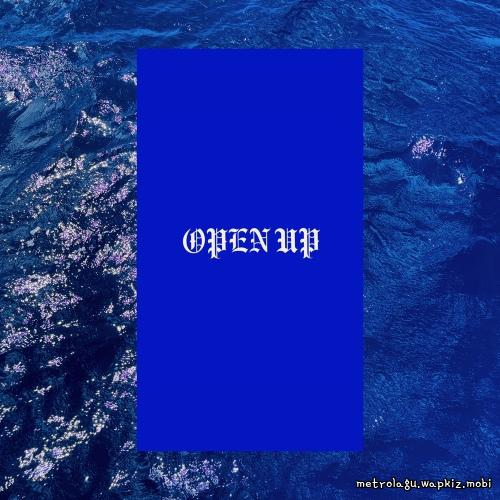 Horim - OPEN UP (Feat. Microdot).mp3