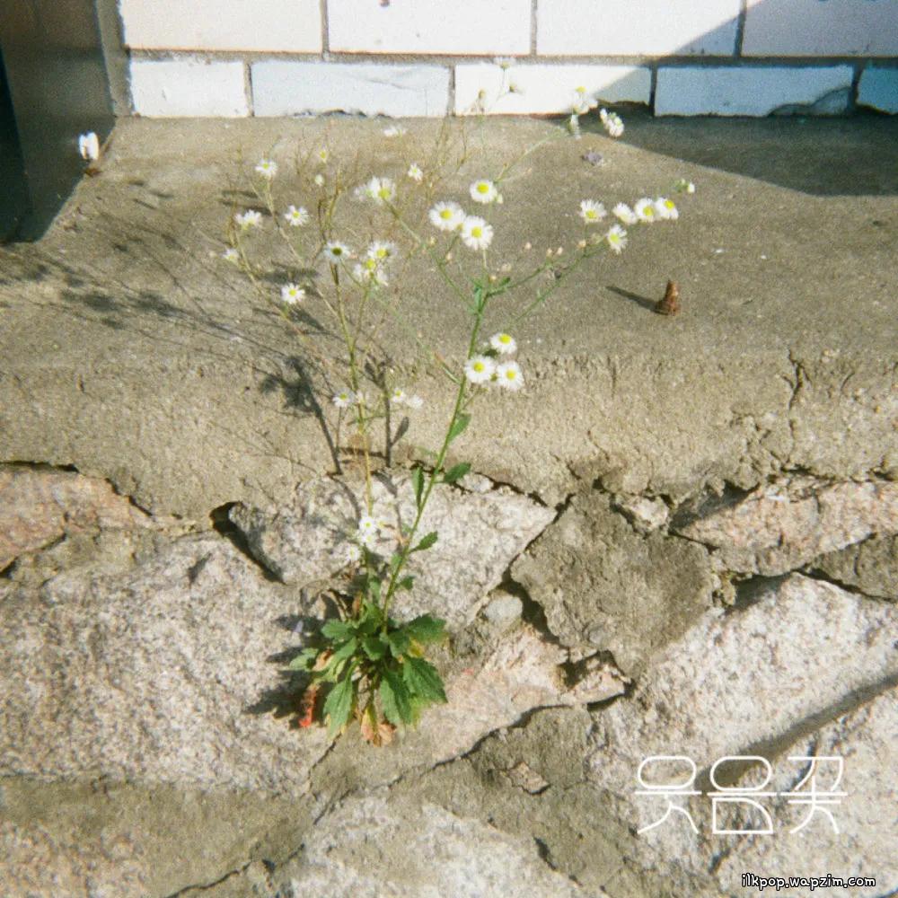Wooden Lee - 웃음꽃 上 (Smiles Bloomed – Pt. 1)