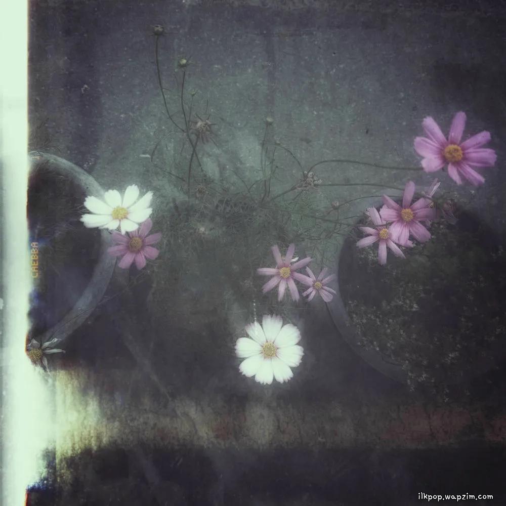 GYE0M - 결국엔 사랑 (Love, After All)