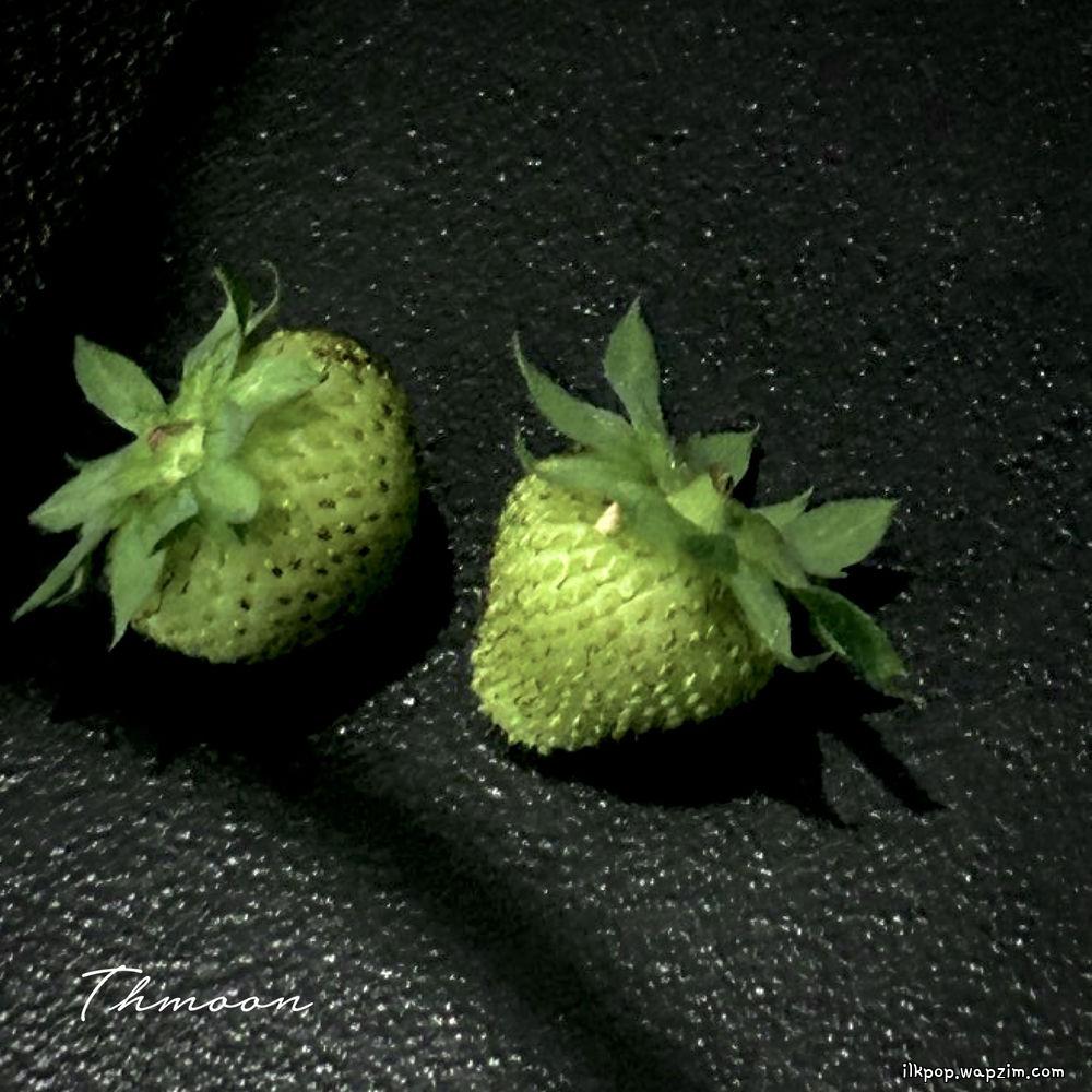 Thmoon - 마지막이야 (The Last)