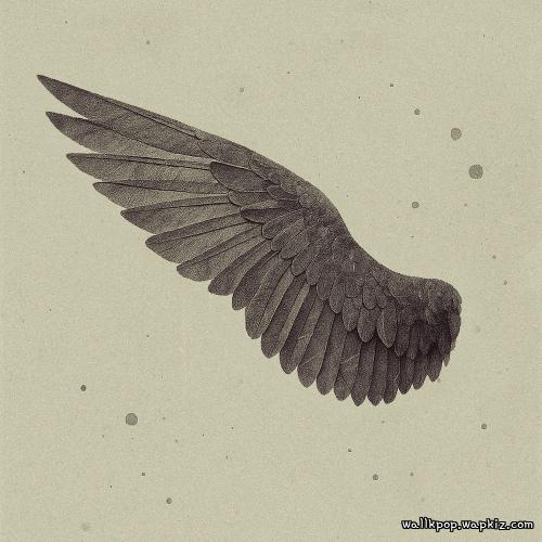 The Stray - 날개 (wing).mp3