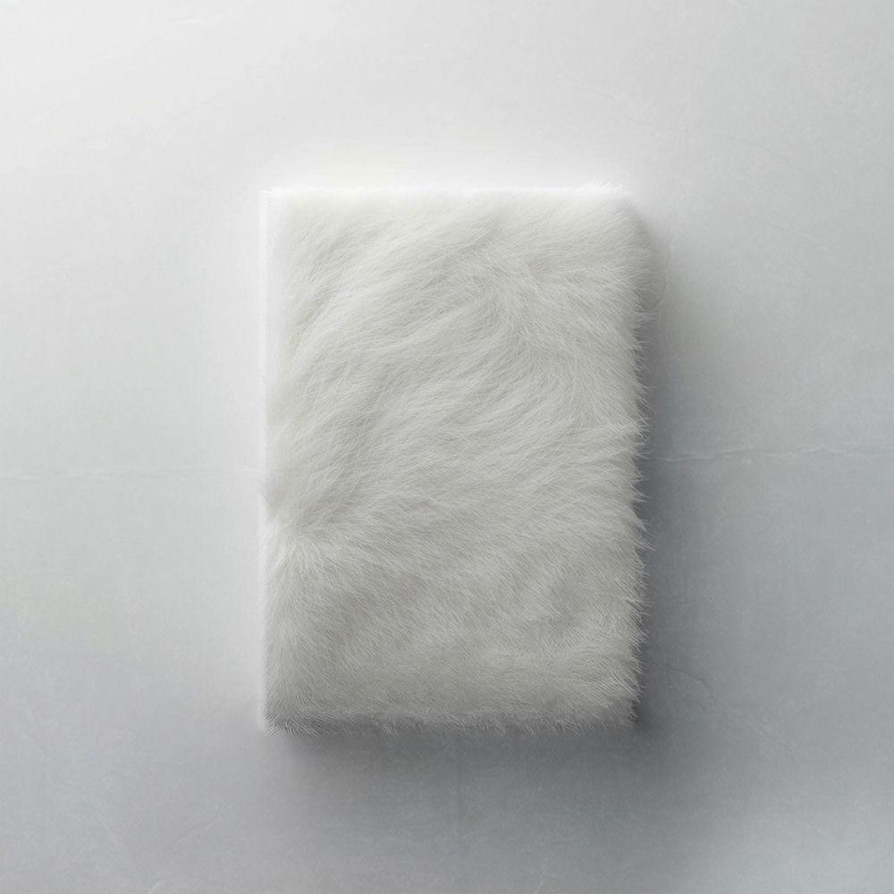 Lee Byeong Chan - 빛의 문 (Open The Light)