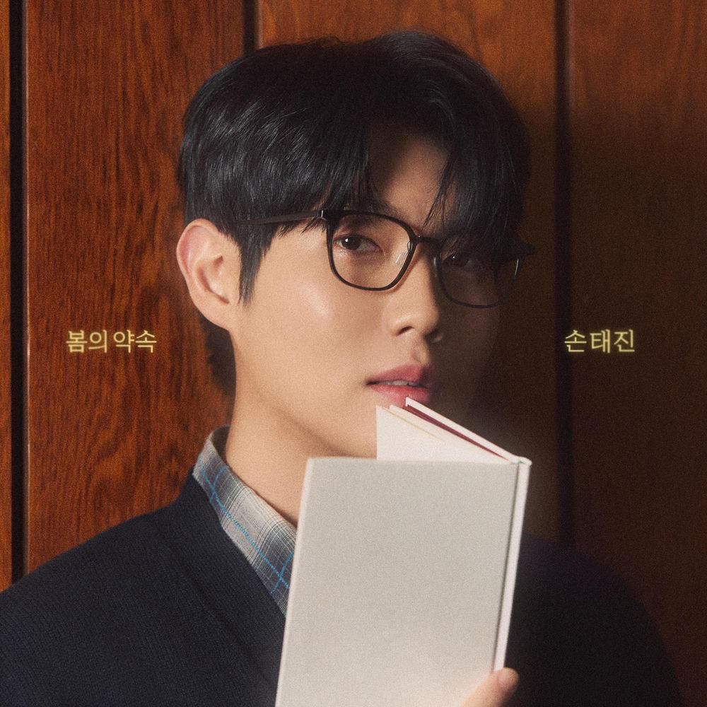 Son Tae Jin - 못 잊어 (Unforgettable)