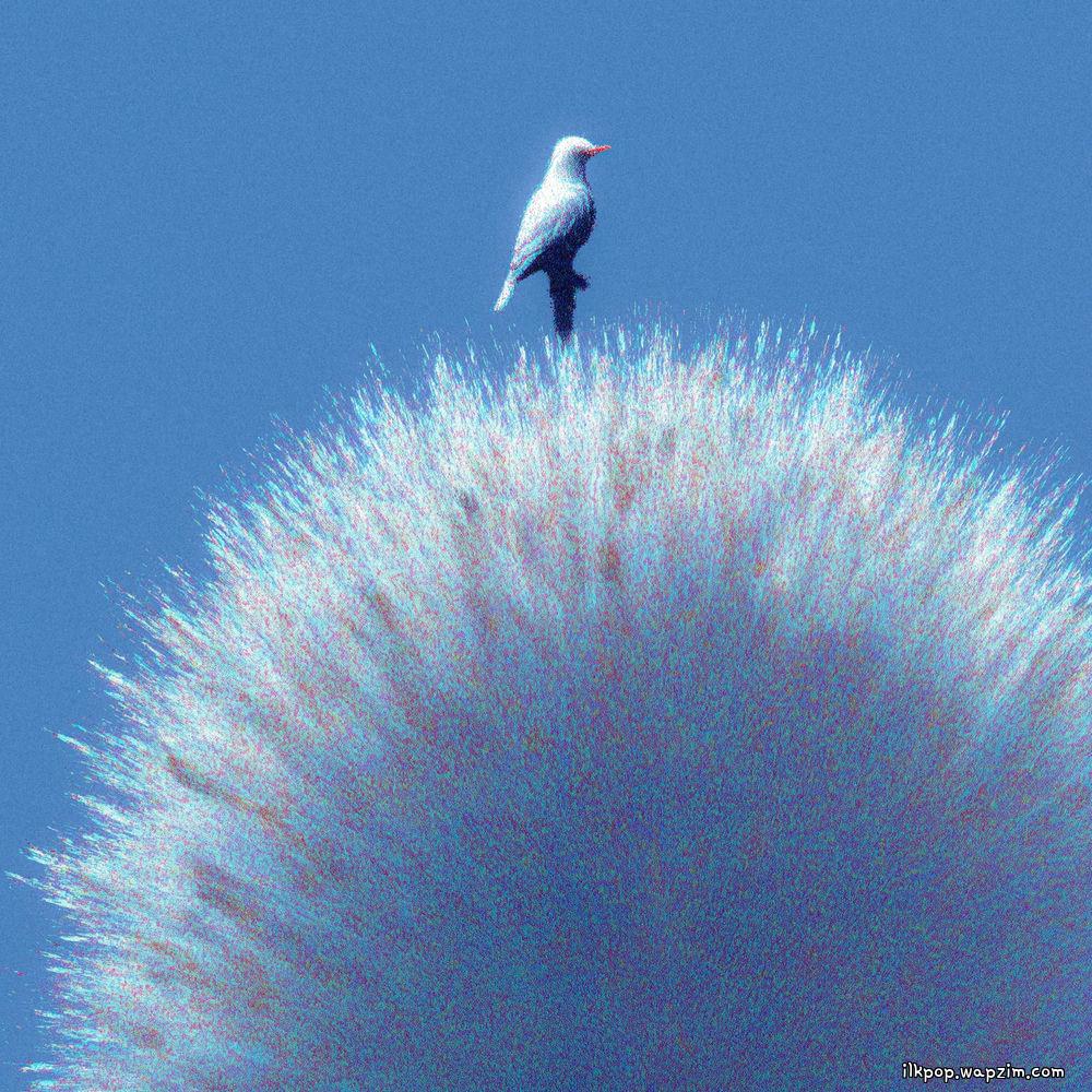 blueberryclub - miss u so (feat. Nam Gijun)