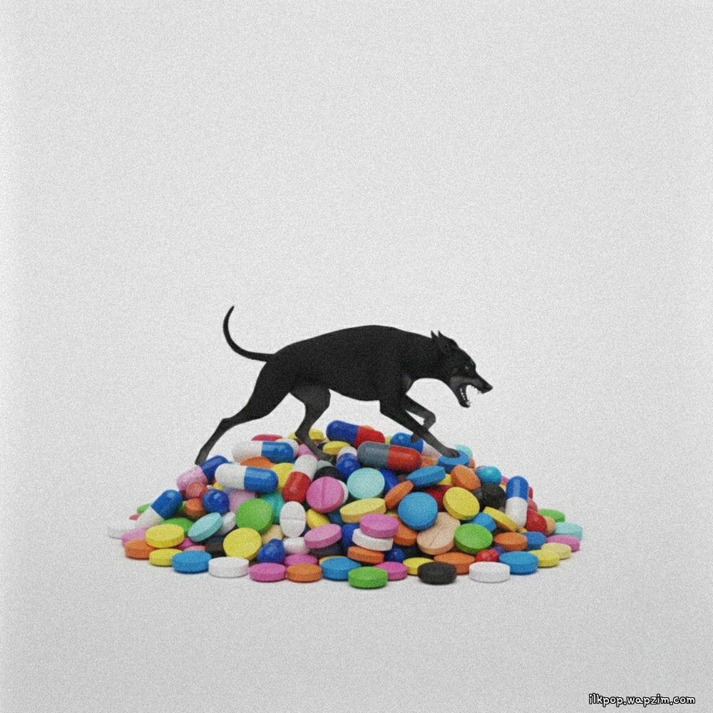 LO VOLF & Lee Surin - Addicted Love (Feat. Gist).mp3