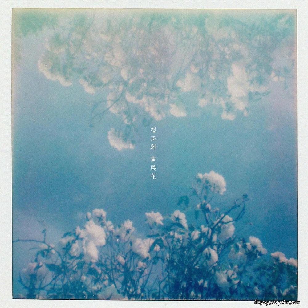 swing & CHOI - 청조화 靑鳥花 (The Blue Bird Flower)