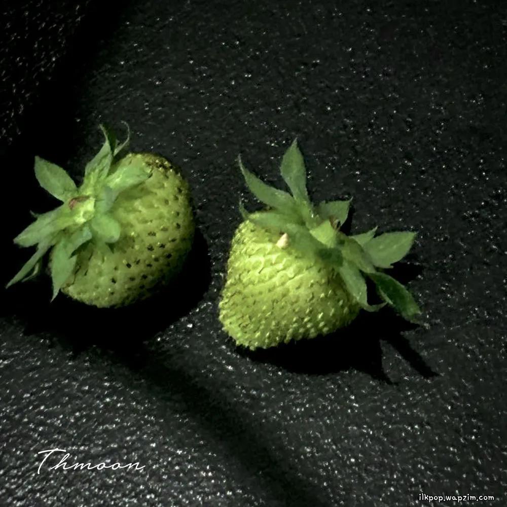 Thmoon - 알게될거야 (Will Know)