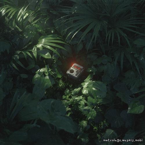 Mosshill - Honeydell.mp3