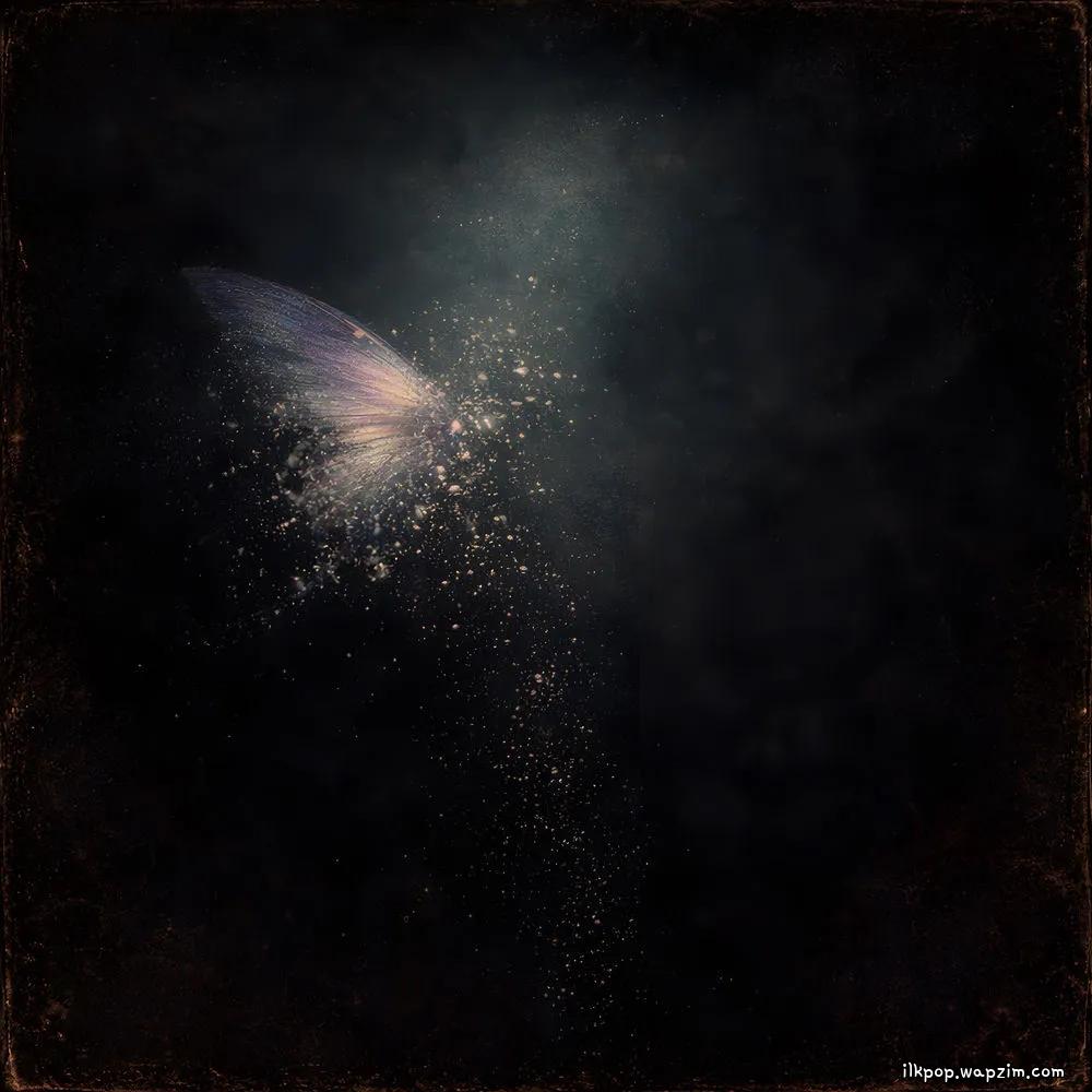 SIM JAEHYUN - 침잠 (Recede)