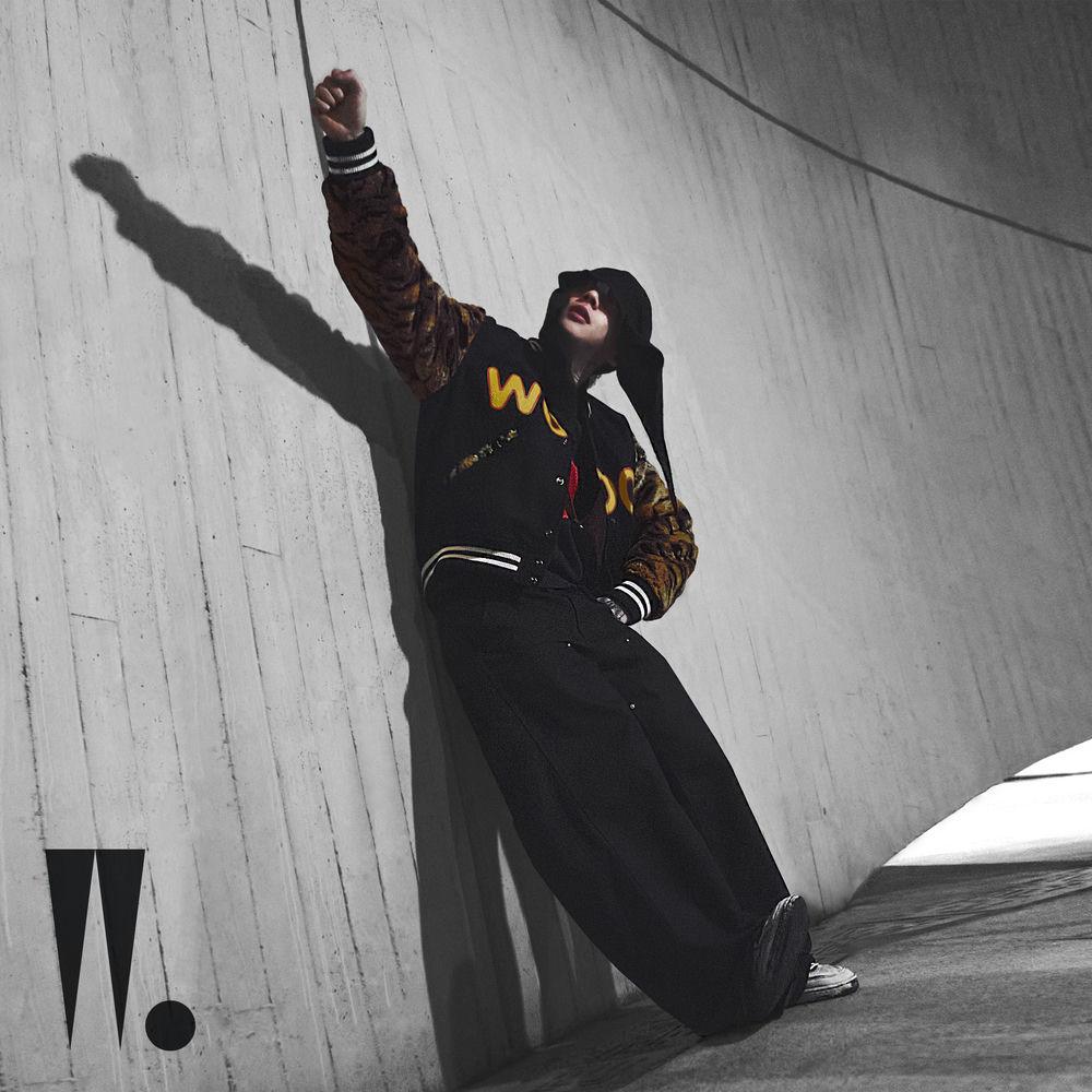 Woo Won Jae - Online Hate