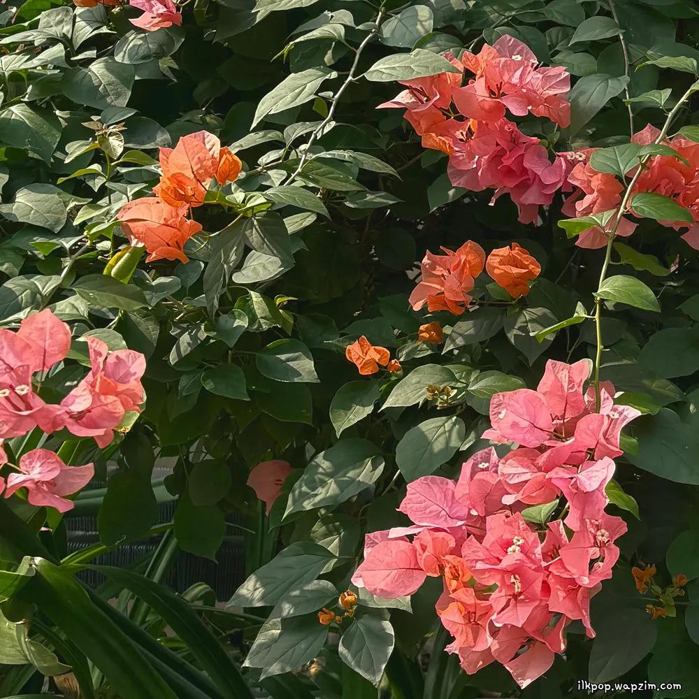 oftn - I Want You Too (feat. Sonny Zero)