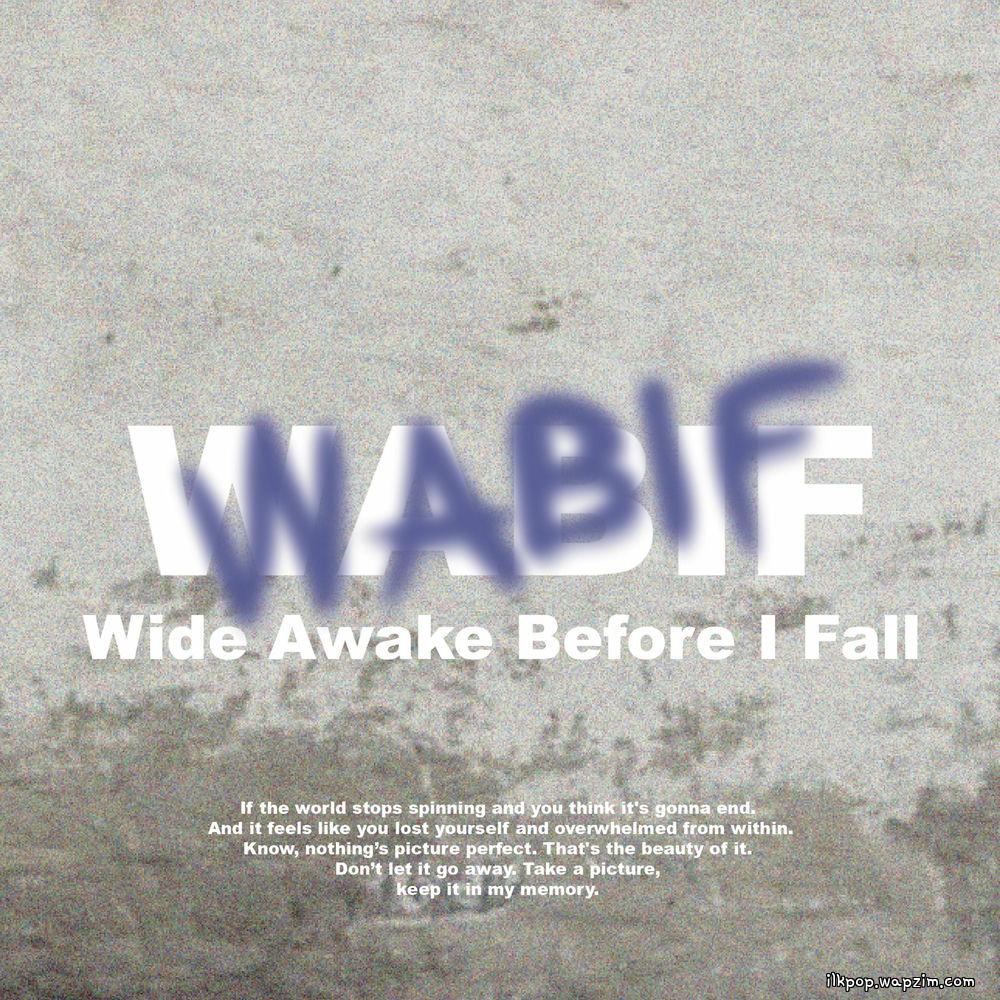 1VERSE - WABIF (Wide Awake before I Fall)