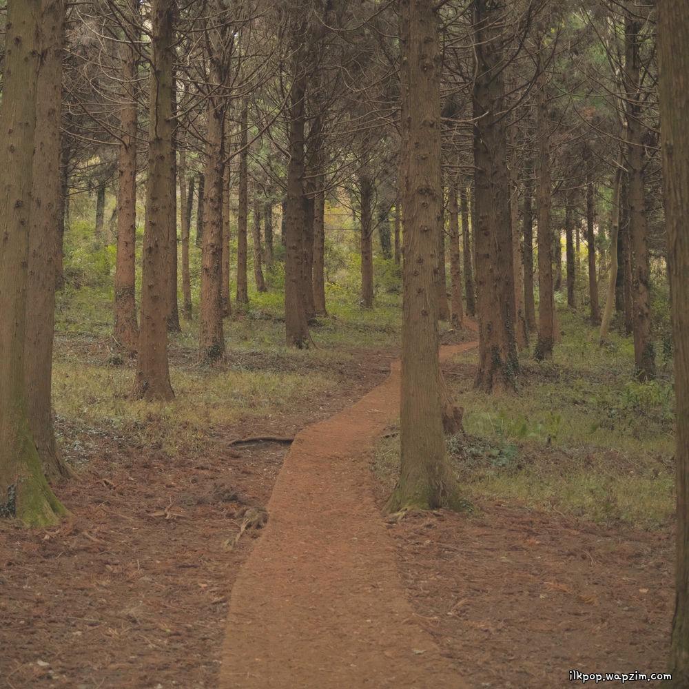 Choyoung - Gift (Joy of All)