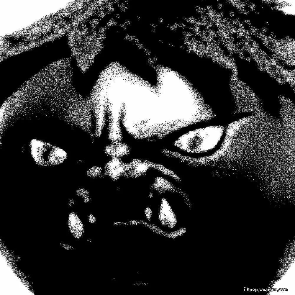 LEENALCHI - 나가 살아봐라 (Go Forth and Learn to Live)