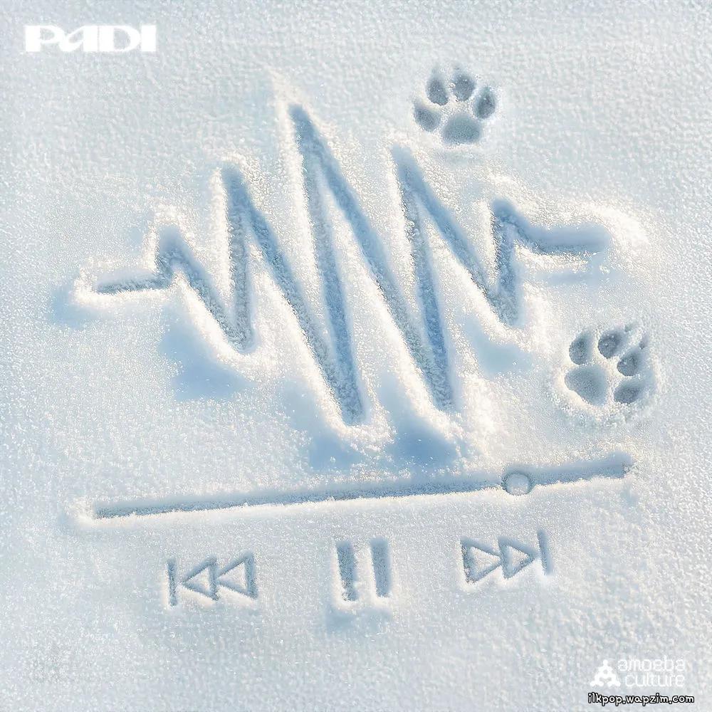 Padi - 너의 나 (In your circle) (Feat. Bumkey, Janet Suhh)