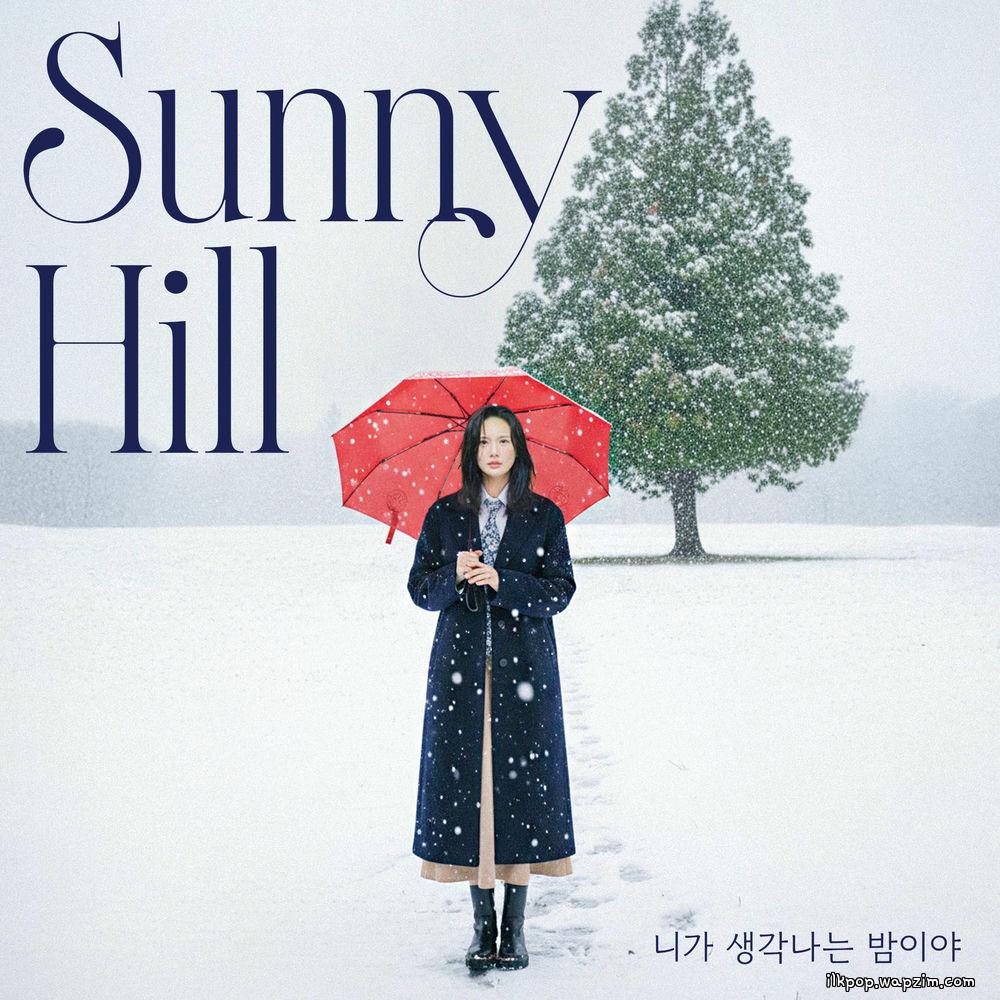 Sunny Hill - 니가 생각나는 밤이야 (Thinking of You Tonight).mp3