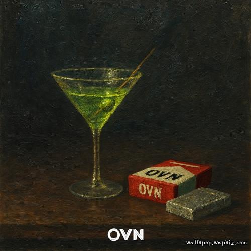 OVN & JazzyHan - Solitude.mp3