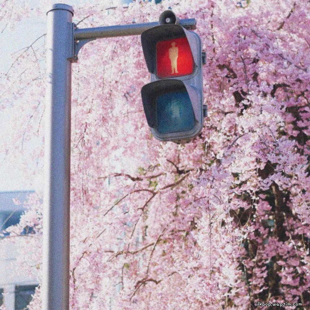 swing & Lee Seohan - 기적에 가까운 이야기 (A Story Close to a Miracle) ~ 奇跡の物語 ~